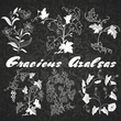 Gracious Azaleas