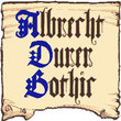 Albrecht Durer Gothic