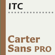 Carter Sans™