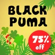 Black Puma