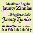 P22 Mayflower