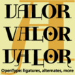 Valor™