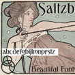Saltzburg™