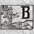 Berengard Caps Two