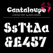 Cantaloupe