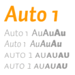 Auto 1™