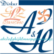 Diskus™