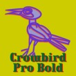 Crowbird