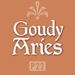 P22 Goudy Aries