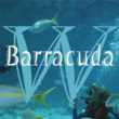 Barracuda