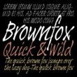 Brown Fox