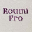 Roumi Pro