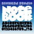 Notebook BH™