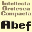 Intellecta Grotesca Compacta