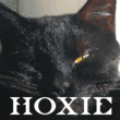 Hoxie JNL