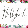 Hollyhock Hollyhock