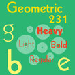 Geometric 231