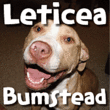 Leticea Bumstead