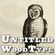 Untitled Wood Type