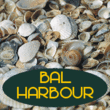 Bal Harbour JNL