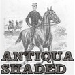 Antiqua Shaded