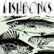 Fishbones