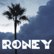 Roney JNL