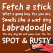 Good Dog New