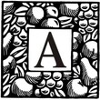 American Advertise 009