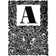 American Advertise 018