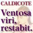 Caldicote™