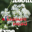 Erasurehead