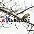 Merchant