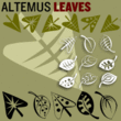 Altemus Leaves