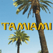 Tamiami JNL