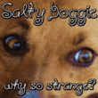 Salty Doggie AOE™