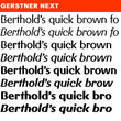 Gerstner® Next