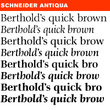 Schneider-Antiqua® BQ