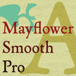 P22 Mayflower Smooth
