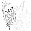 Allerlei Zierat Capitals