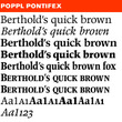 Poppl-Pontifex® Pro