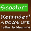 Scooter Script™