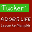 Tucker Script™
