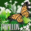 Papillon