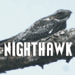 Nighthawk JNL