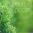 Euphorbia Species