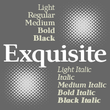 Exquisite Pro