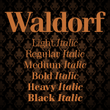 Waldorf Pro