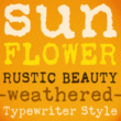 Sunflower