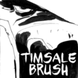 Tim Sale Brush
